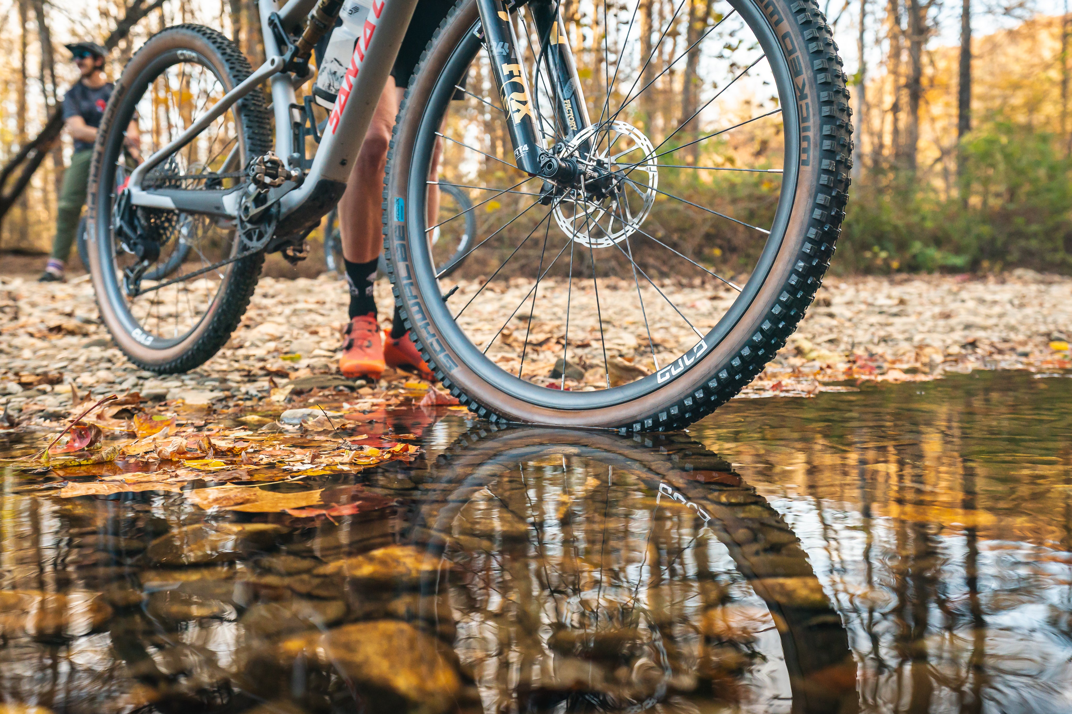 Fall vibes of Gulo Composites wheels in Pisgah's Davidson River